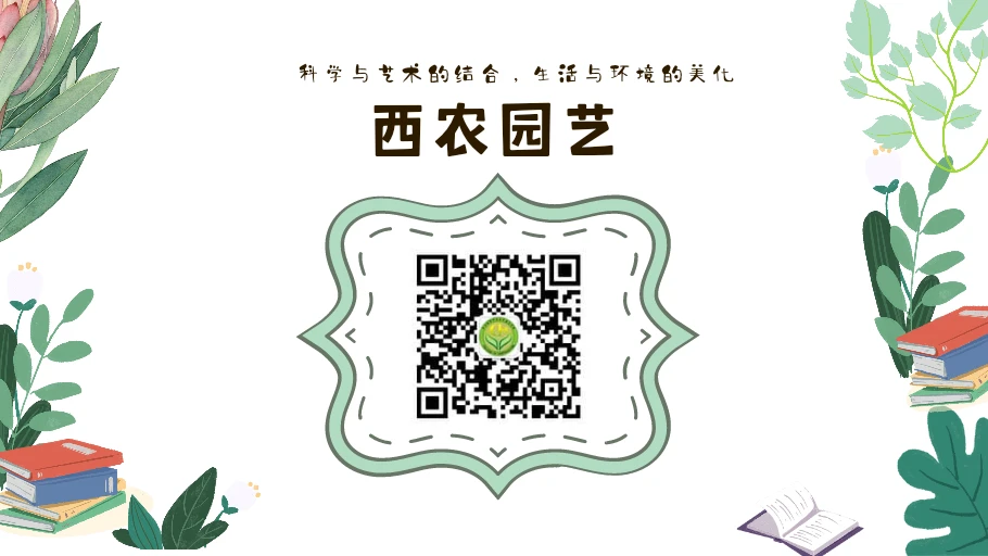 业余篮球爱好者如何通过智能计分改善投篮命中率_2